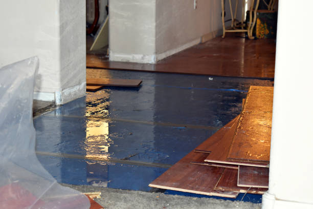 Professional Burst Pipe Cleanup technician working in Belford, NJ
